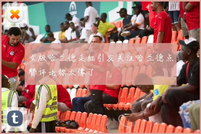女版哈兰德走红引发关注哈兰德点赞评论称太像了