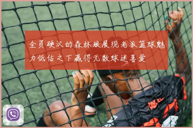全员硬汉的森林狼展现老派篮球魅力低估之下赢得无数球迷喜爱
