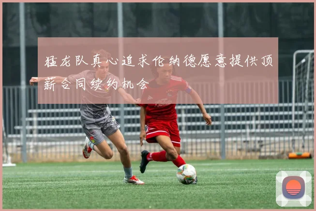 猛龙队真心追求伦纳德愿意提供顶薪合同续约机会